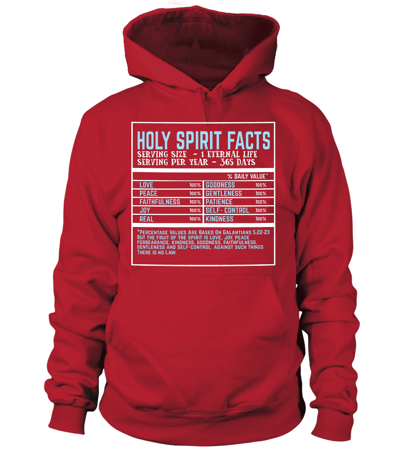 Holy Spirit Facts Hoodie