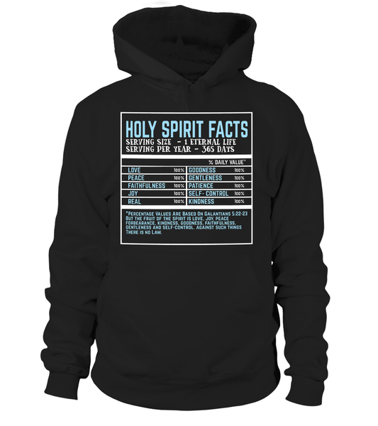Holy Spirit Facts Hoodie